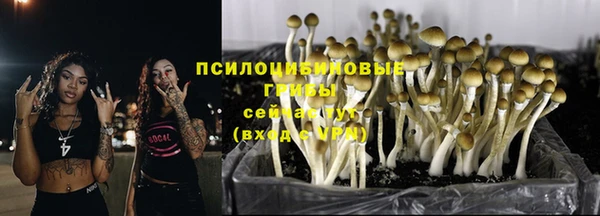 эйфоретик Арсеньев
