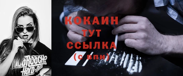 эйфоретик Арсеньев