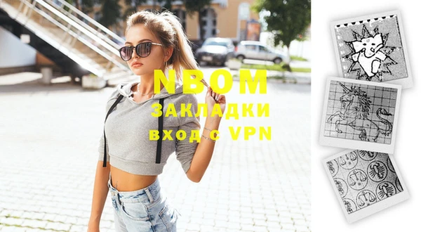 индика Армянск