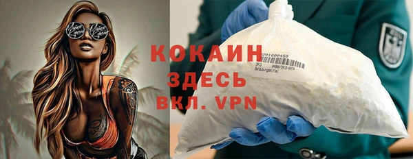индика Армянск