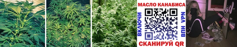 Дистиллят ТГК гашишное масло  Макарьев 