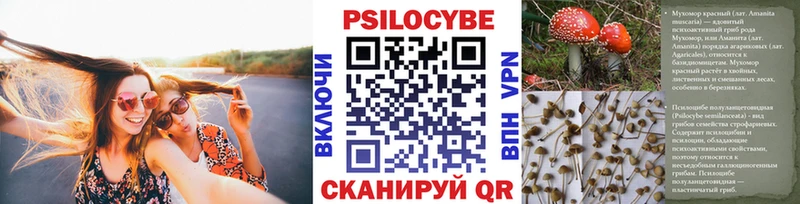 купить наркоту  Макарьев  Псилоцибиновые грибы MAGIC MUSHROOMS 