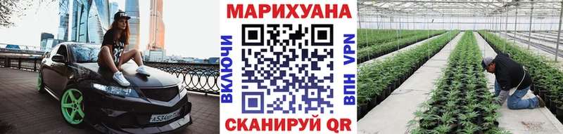 Бошки марихуана план  Макарьев 